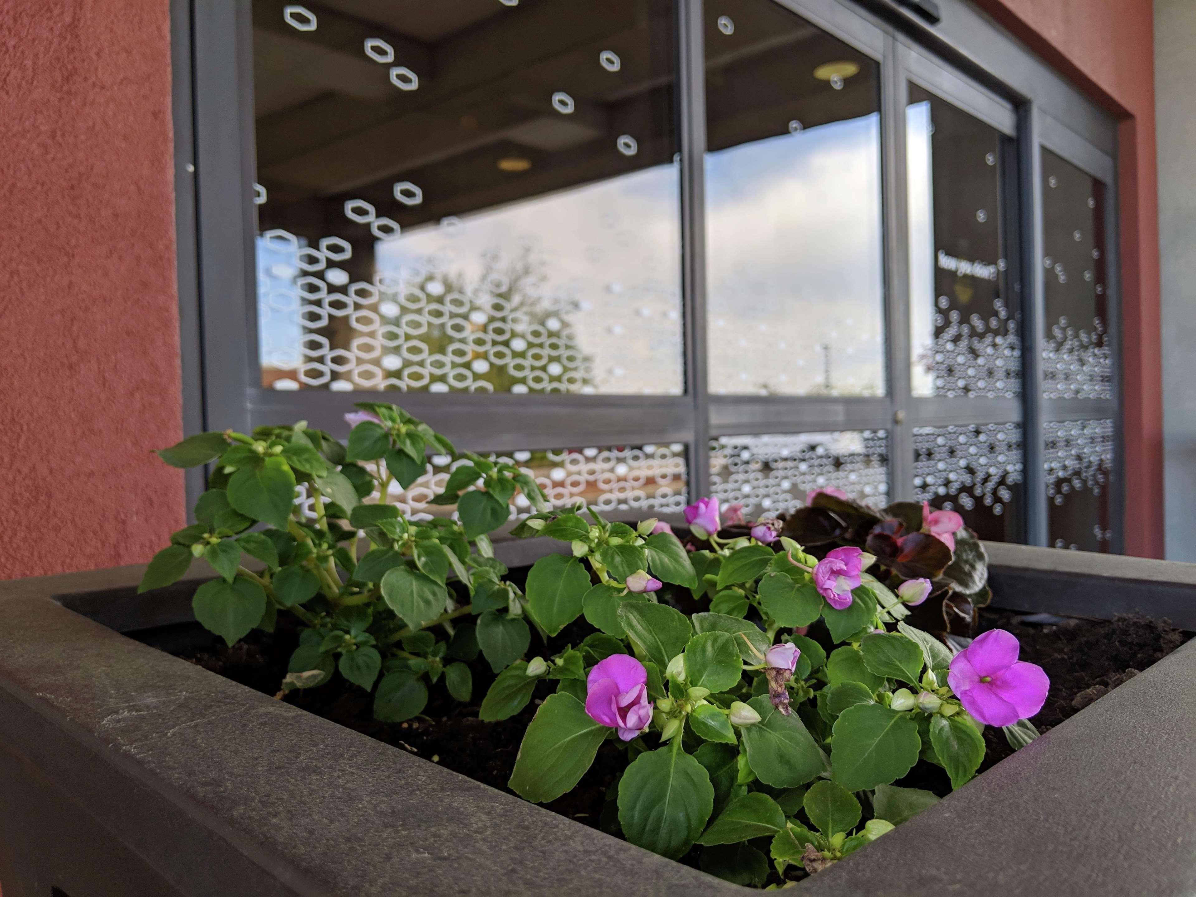 Hampton Inn & Suites Cincinnati-Union Centre West Chester Bagian luar foto