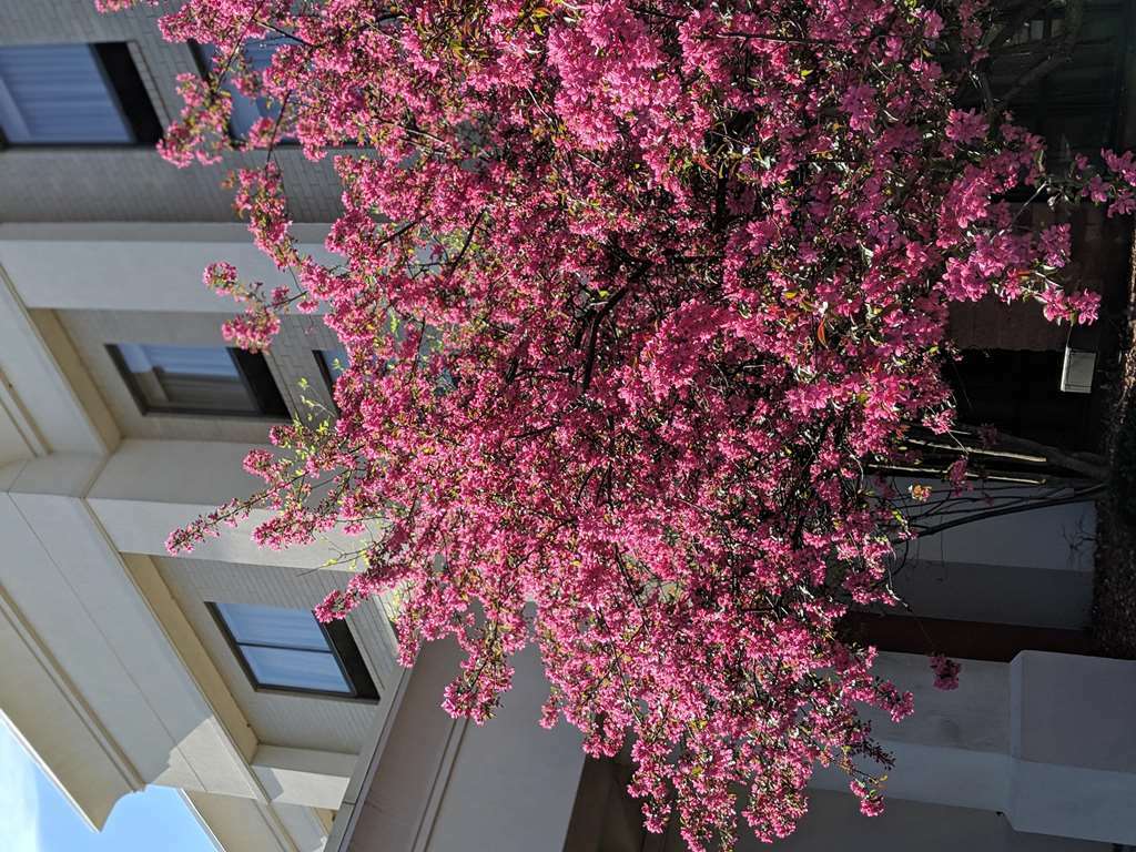 Hampton Inn & Suites Cincinnati-Union Centre West Chester Bagian luar foto